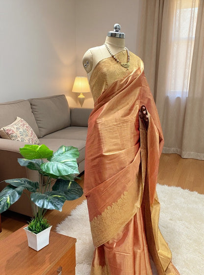 Premium Tissue Silk Saree with Elegant Golden Zari Weaving